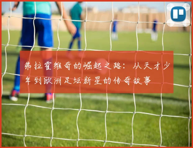弗拉霍维奇的崛起之路：从天才少年到欧洲足坛新星的传奇故事