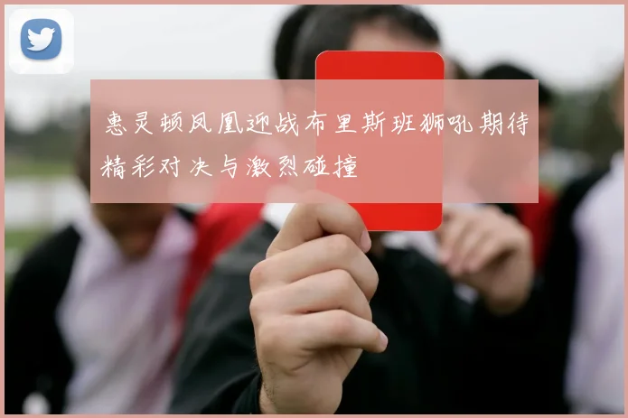 惠灵顿凤凰迎战布里斯班狮吼期待精彩对决与激烈碰撞