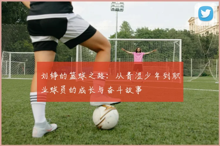 刘铮的篮球之路：从青涩少年到职业球员的成长与奋斗故事